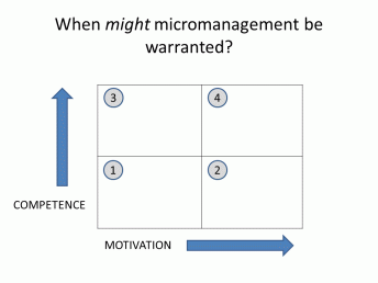 Micromanagement